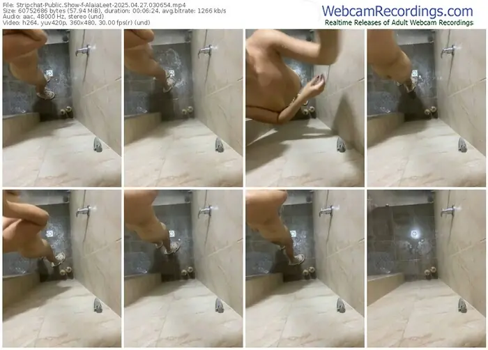 stripchat-alaialeet-04-27-2025-03-06-54