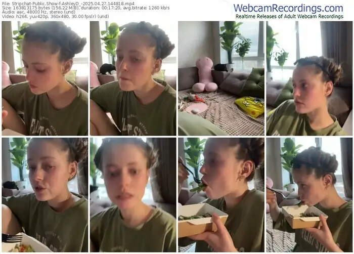 stripchat-ashleyd_-04-27-2025-14-48-18