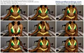 stripchat-bootylexy22-04-27-2025-21-29-44