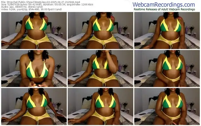 stripchat-bootylexy22-04-27-2025-21-29-44