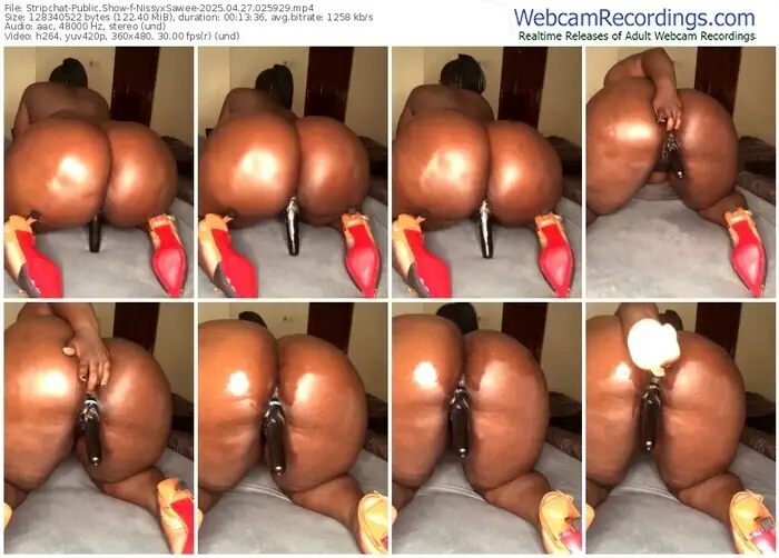 stripchat-nissyxsawee-04-27-2025-02-59-29