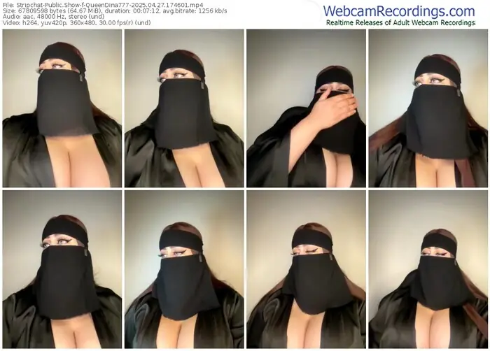 stripchat-queendina777-04-27-2025-17-46-01