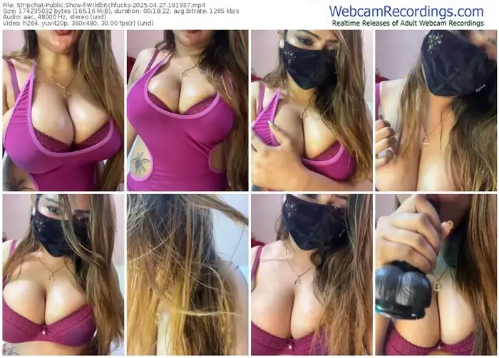 stripchat-wildbitchfucks-04-27-2025-19-19-37