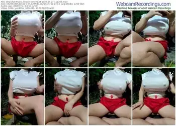 stripchat-xinxin124-04-27-2025-11-12-09