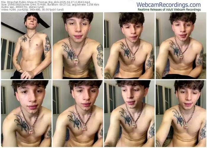stripchat-thomas_big_dick-04-27-2025-11-46-43