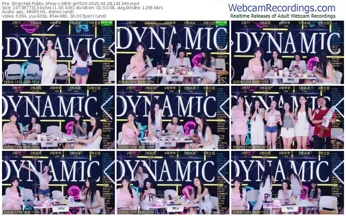 stripchat-new-girl520-04-28-2025-16-13-49