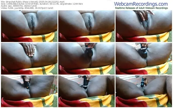 stripchat-yoryet1-04-28-2025-22-22-51