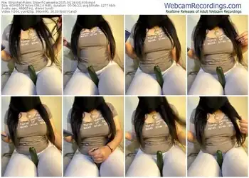 stripchat-cameelia-04-28-2025-04-19-39