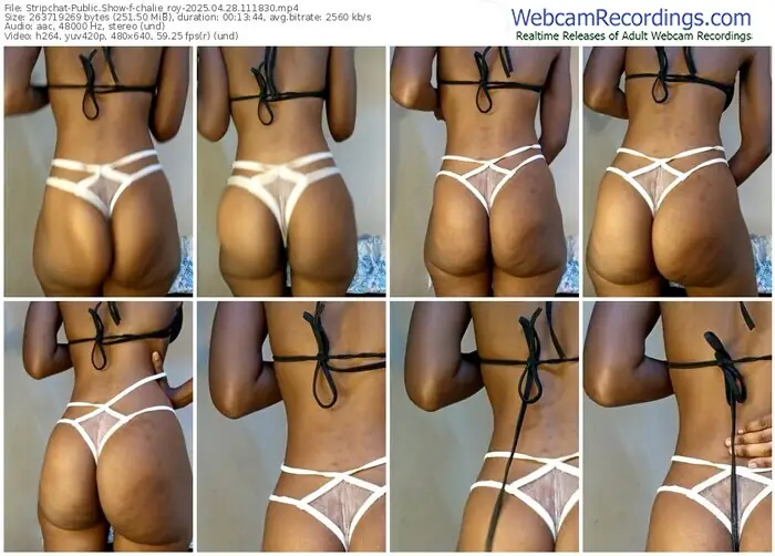 stripchat-chalie_roy-04-28-2025-11-18-30