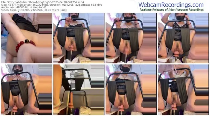 stripchat-tingting66-04-28-2025-06-47-52