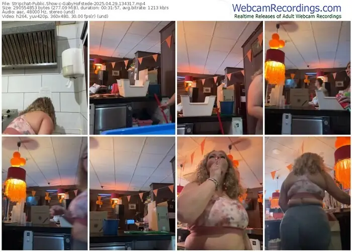 stripchat-gabyhofstede-04-29-2025-13-43-17
