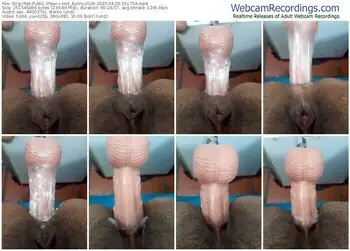 stripchat-hot_bunny2024-04-29-2025-15-17-54