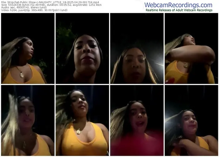 stripchat-naughty_little_18-04-29-2025-00-17-04