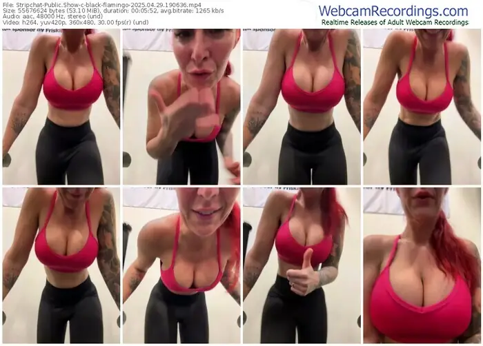 stripchat-black-flamingo-04-29-2025-19-06-36