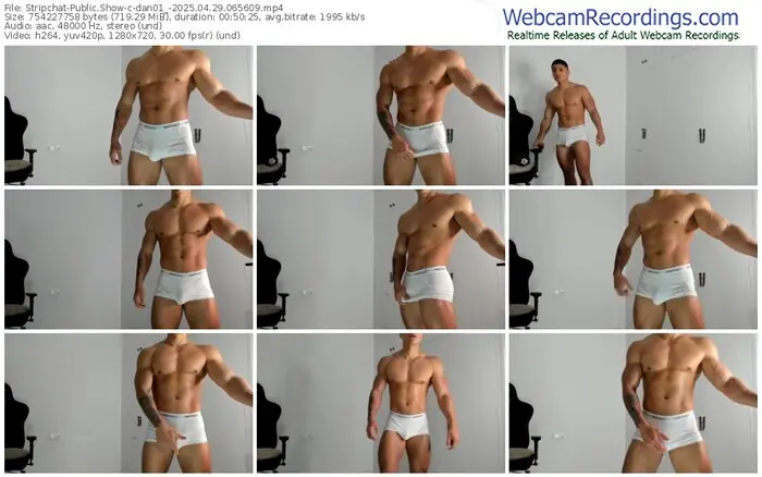 stripchat-dan01_-04-29-2025-06-56-09