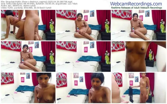 stripchat-destroys_vagina2-04-29-2025-08-07-58