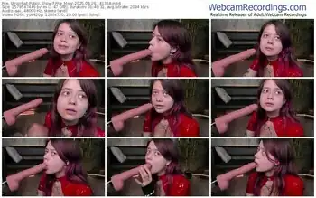 stripchat-frie_moor-04-29-2025-14-13-58