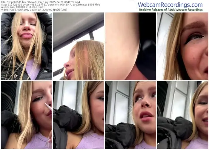 stripchat-liza_risky-04-29-2025-09-42-03