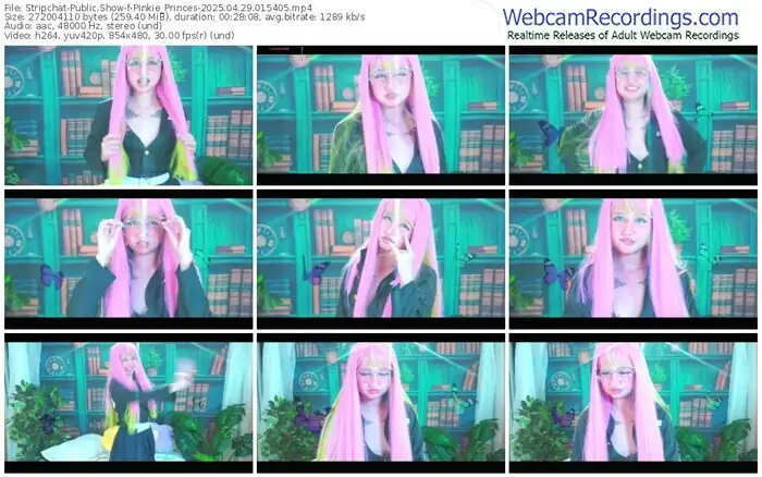 stripchat-pinkie_princes-04-29-2025-01-54-05