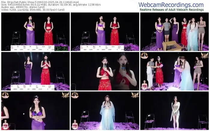 stripchat-xmh100-04-29-2025-11-46-43