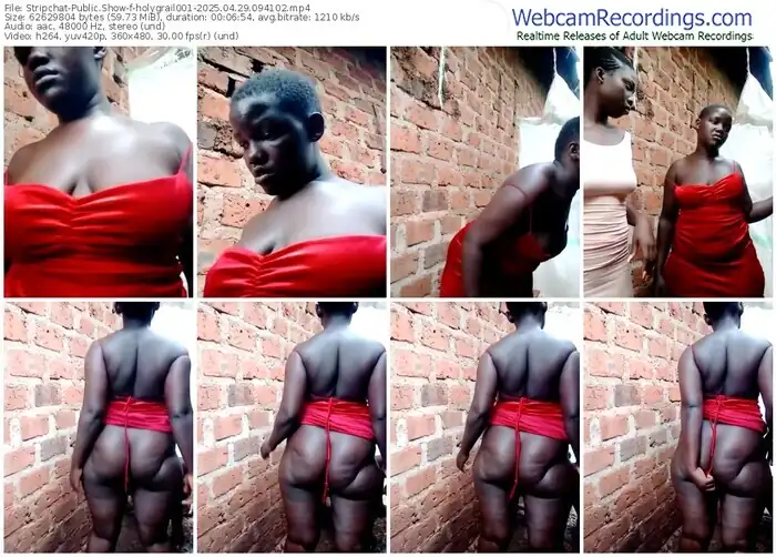 stripchat-holygrail001-04-29-2025-09-41-02