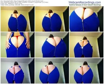 stripchat-ladywithbigass-04-29-2025-06-53-52