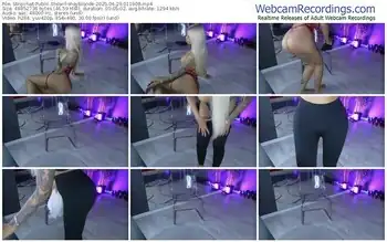 stripchat-shayblonde-04-29-2025-01-19-08