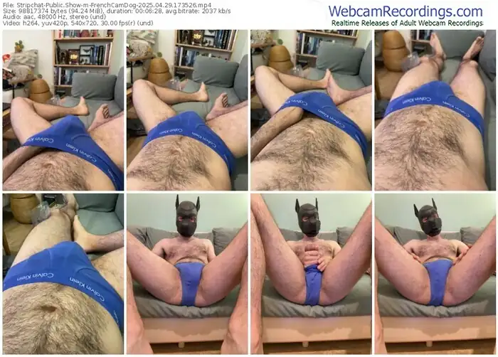 stripchat-frenchcamdog-04-29-2025-17-35-26