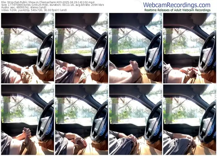 stripchat-themechanic420-04-29-2025-14-11-02