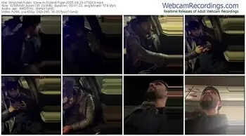 stripchat-ticklishtiger-04-29-2025-07-52-03