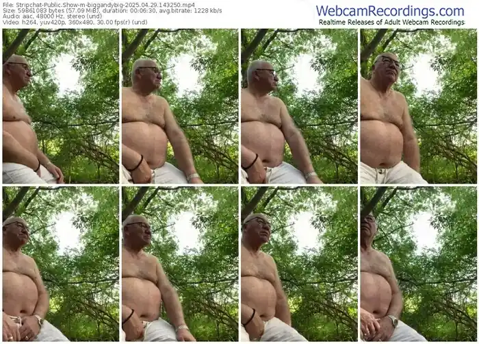 stripchat-biggandybig-04-29-2025-14-32-50