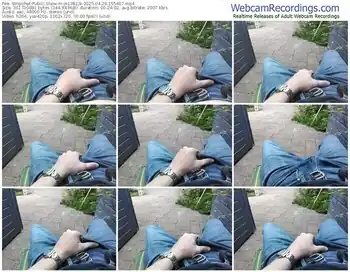 stripchat-jk1981jk-04-29-2025-15-54-07