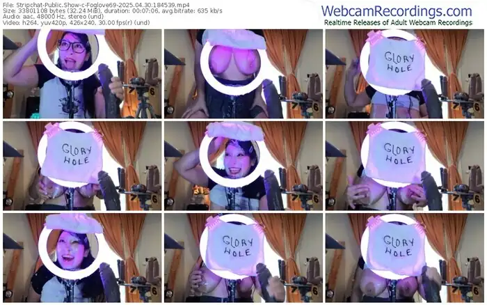 stripchat-foglove69-04-30-2025-18-45-39