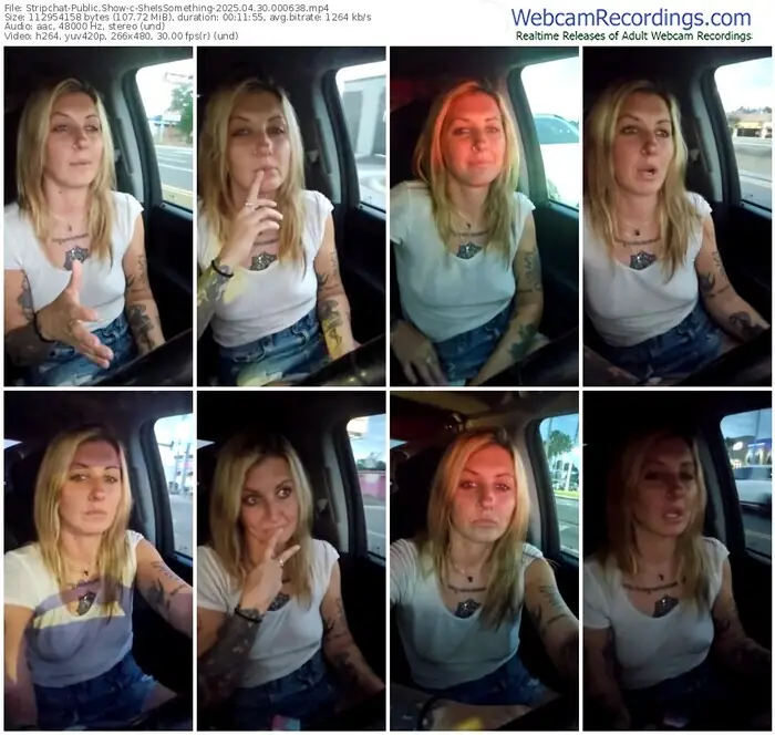 stripchat-sheissomething-04-30-2025-00-06-38