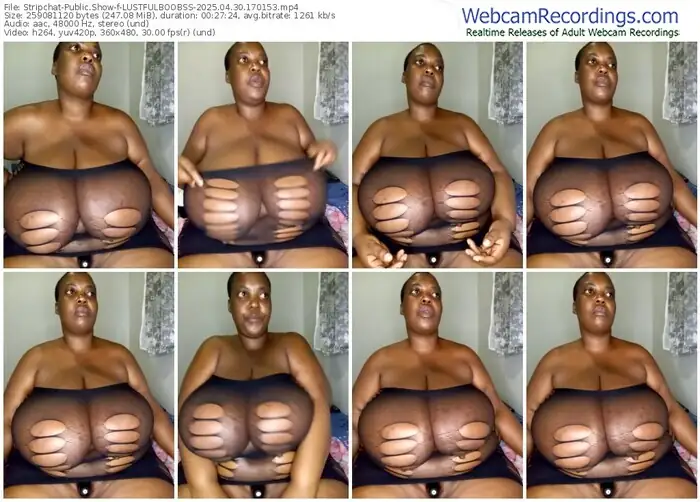 stripchat-lustfulboobss-04-30-2025-17-01-53
