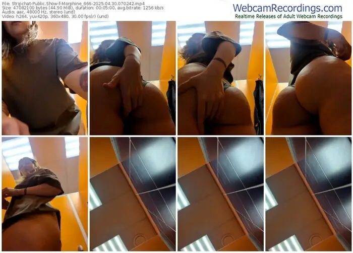 stripchat-morphine_666-04-30-2025-07-02-42
