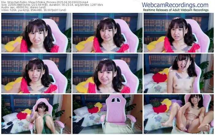 stripchat-pinkie_princes-04-30-2025-03-02-29