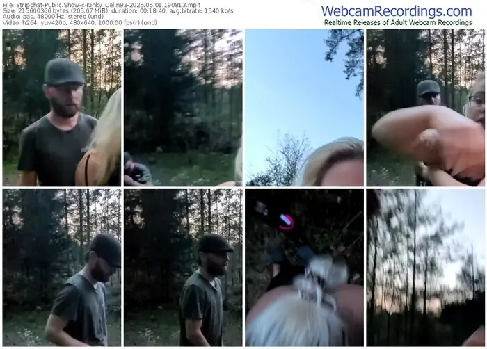 stripchat-kinky_celin93-05-01-2025-19-08-13