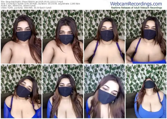 stripchat-bold-cat-05-01-2025-22-11-17