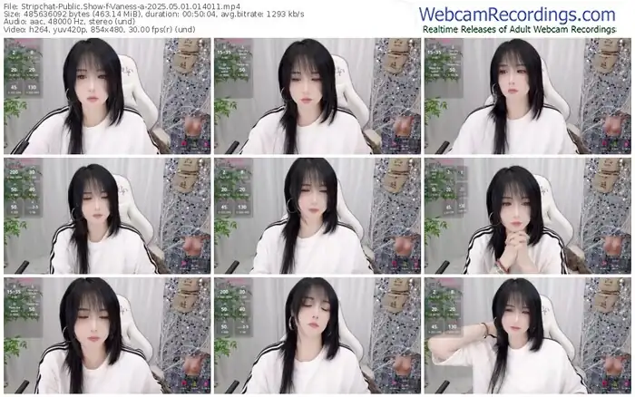 stripchat-vaness-a-05-01-2025-01-40-11