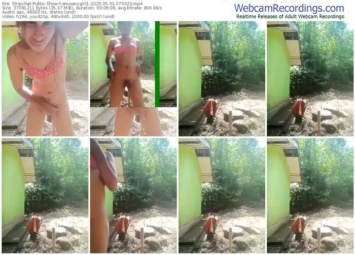 stripchat-anusexygirl1-05-01-2025-07-53-23