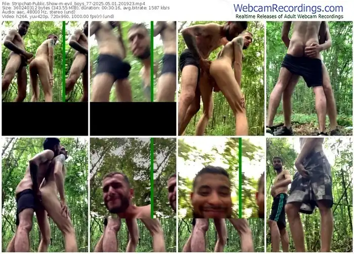 stripchat-evil_boys_77-05-01-2025-20-19-23