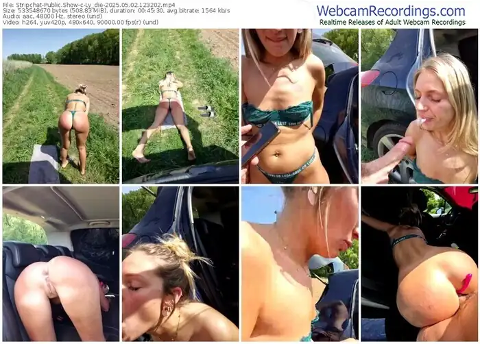 stripchat-ly_die-05-02-2025-12-32-02