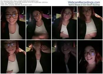 stripchat-wkatte-05-02-2025-03-29-59