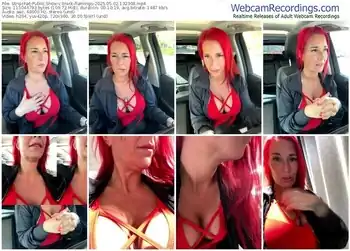 stripchat-black-flamingo-05-02-2025-13-23-08