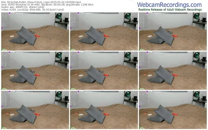 stripchat-anny_leps-05-02-2025-19-09-38