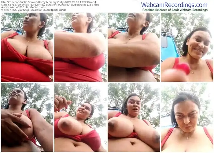 stripchat-horny-mommy-dirty-05-03-2025-13-22-36