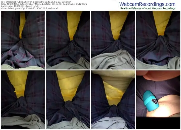 stripchat-gogo6696-05-05-2025-09-15-56