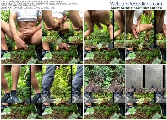 stripchat-sunbe-05-06-2025-10-54-07