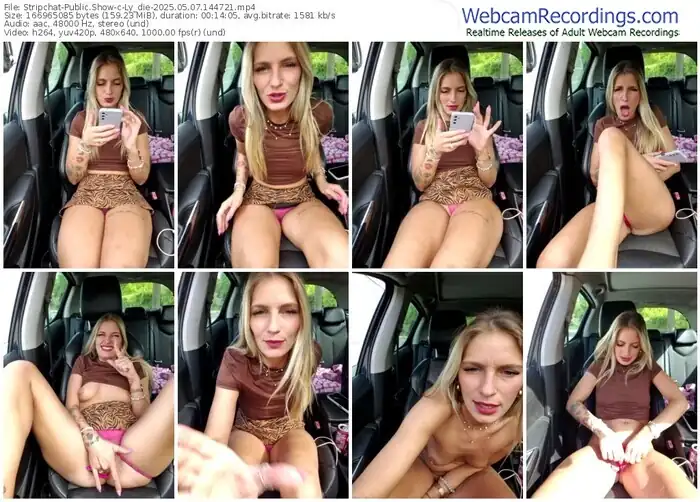 stripchat-ly_die-05-07-2025-14-47-21